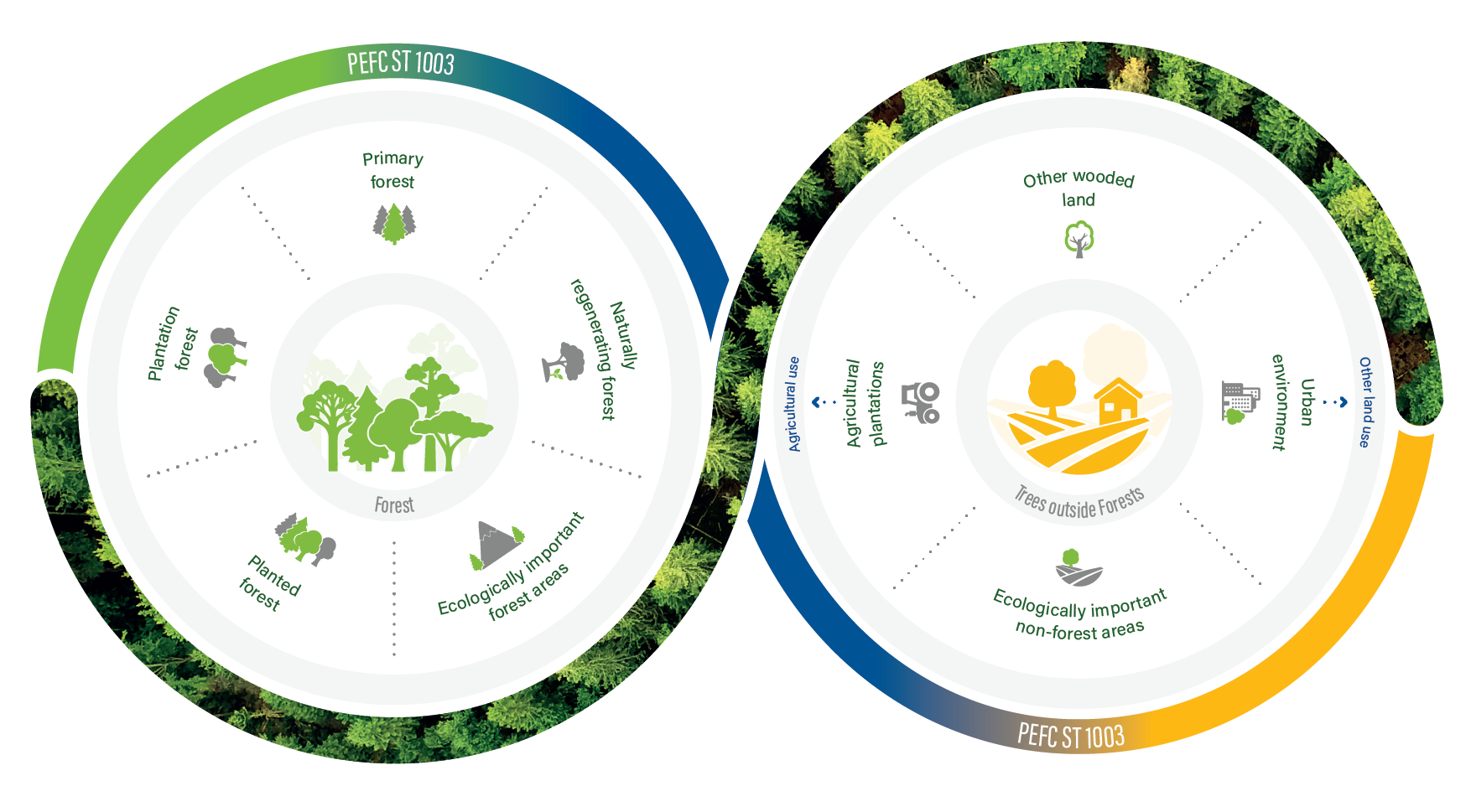 Overview of the PEFC ST 1003 main scope categories